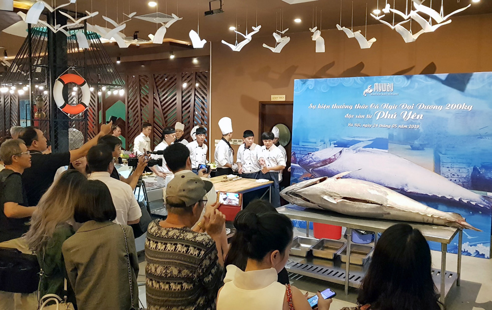 Con cá ngừ đại dương vây xanh 200kg được đặt trên bàn để các đầu bếp chuẩn bị trình diễn cách sơ chế